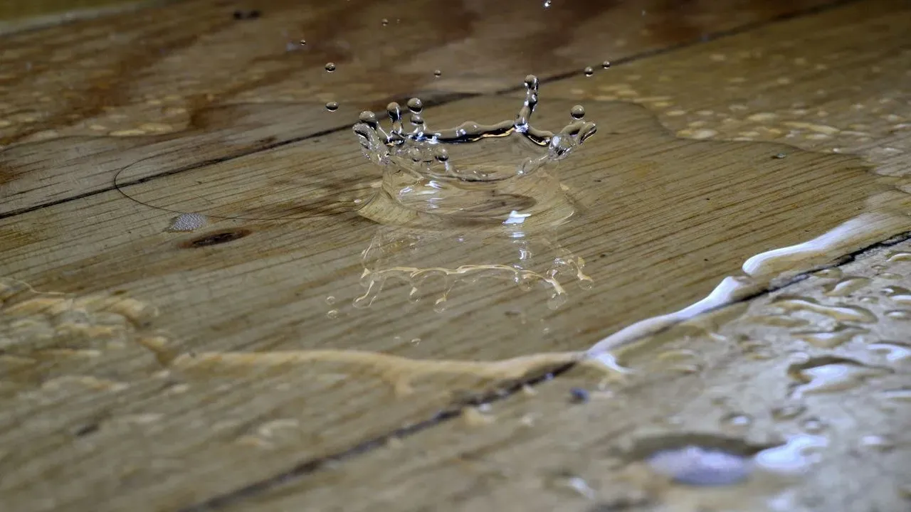 The Hidden Yard Mistakes That Are Quietly Flooding American Homes