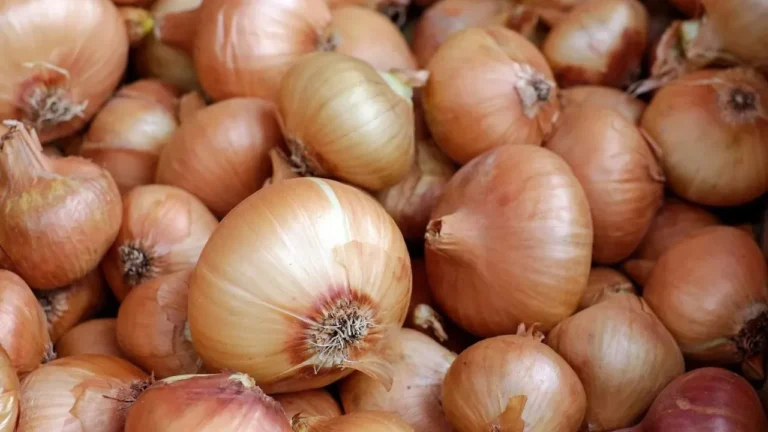 Preserve Your Onion Harvest Before It Spoils - Featured image