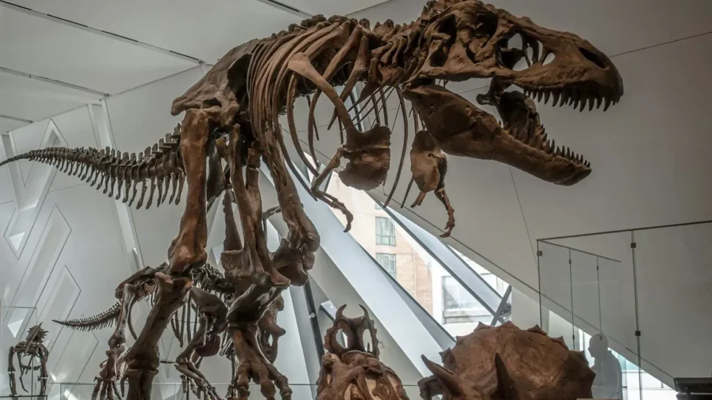 Long-Forgotten Bone Proves First Dinosaur in Antarctica - Featured image