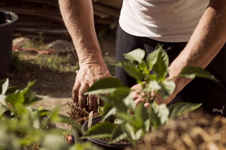 7 Garden Myths Even Experienced Gardeners Still Believe - Featured image