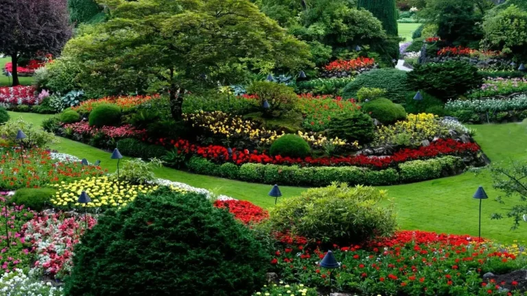 Tidy Gardens Offer Relief From Wild Fatigue - Featured image