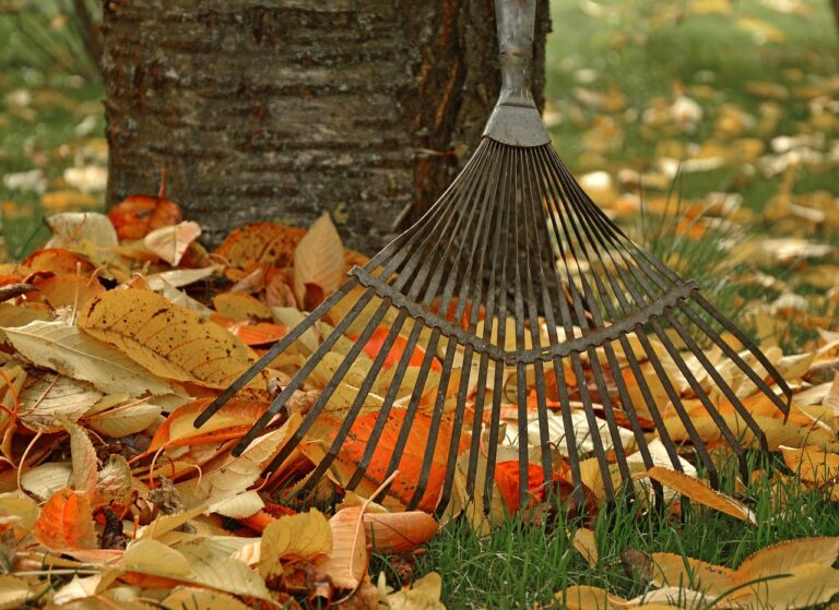 The 'Tidy Garden' Habit That's Starving Your Soil of Nutrients - Featured image