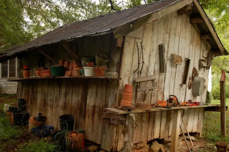 8 Garden Tools From the 1950s That Work Better Than Modern Versions - Featured image