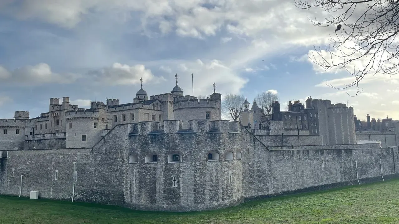 Tower of Jewels Plant Delivers One Dramatic Bloom