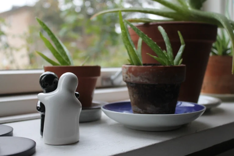 The Sunlight Mistake That Quietly Stresses Shade-Loving Plants - Featured image