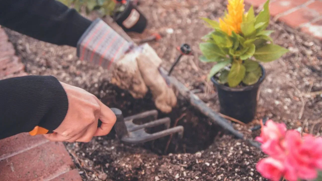 Christine Owns Up to Garden Mistakes