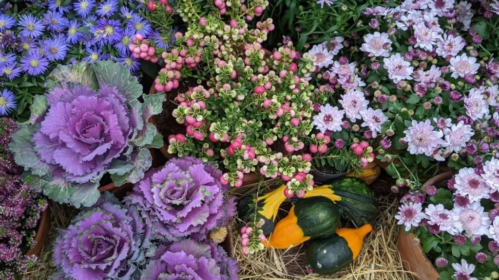 The Single Rule That Replaces Companion Planting Charts - Featured image