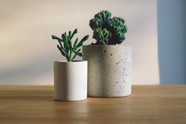 Why a Chipped Ceramic Planter Might Be a Mid-Century Original - Featured image