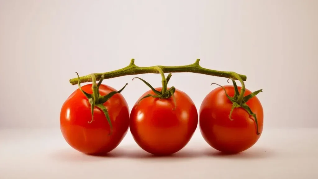 One Tomato Yields Seeds for Years of Harvests - Featured image