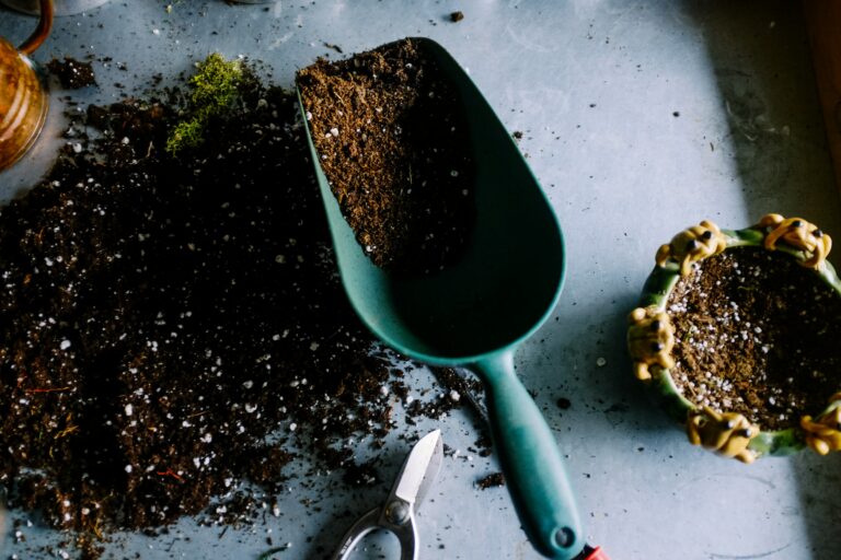 The Fertilizer Mistake That Stunts Growth Instead of Boosting It - Featured image