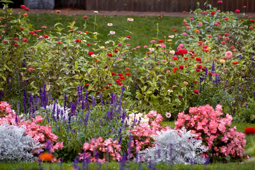 If You Want Your Napa Valley Garden To Flourish, Plant These 5 Stunning Companion Plants