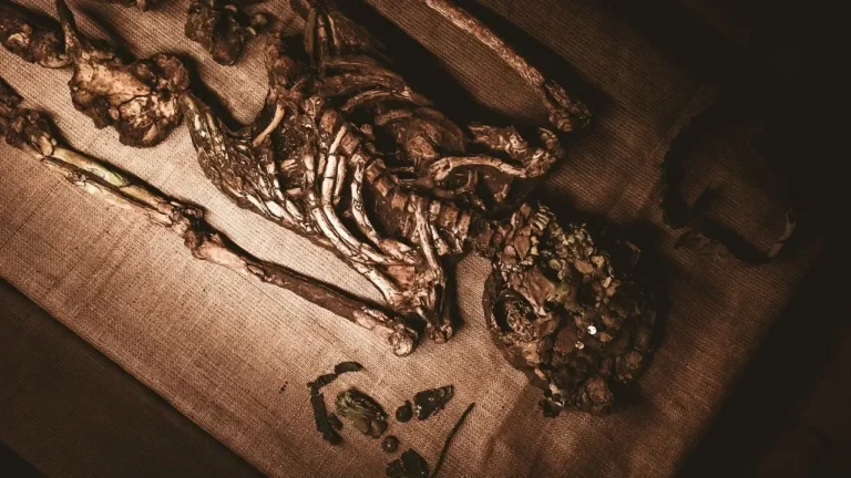 200-Year-Old Newborn Remains Reveal Remarkable Preservation in Crypt Find - Featured image