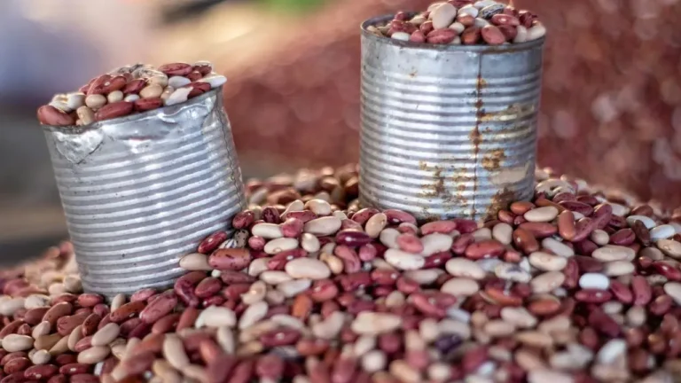 Refried Beans: Years in the Pantry, Just Days in the Fridge - Featured image