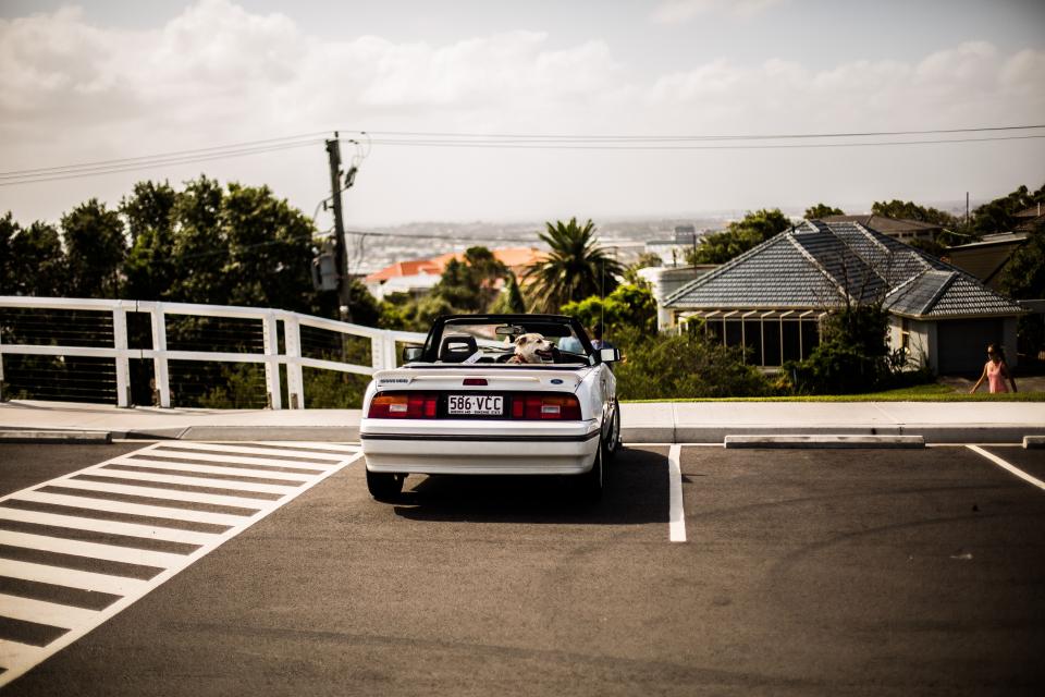 9 Vintage Road Trip Essentials That Still Hold Up