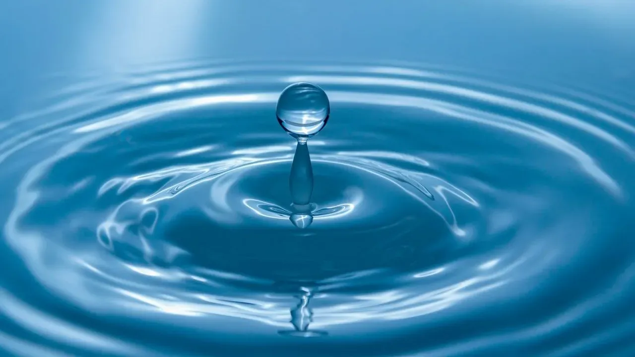 Your Garden Is Thirstier Than Ever: Water-Wise Strategies for Hotter, Drier Summers