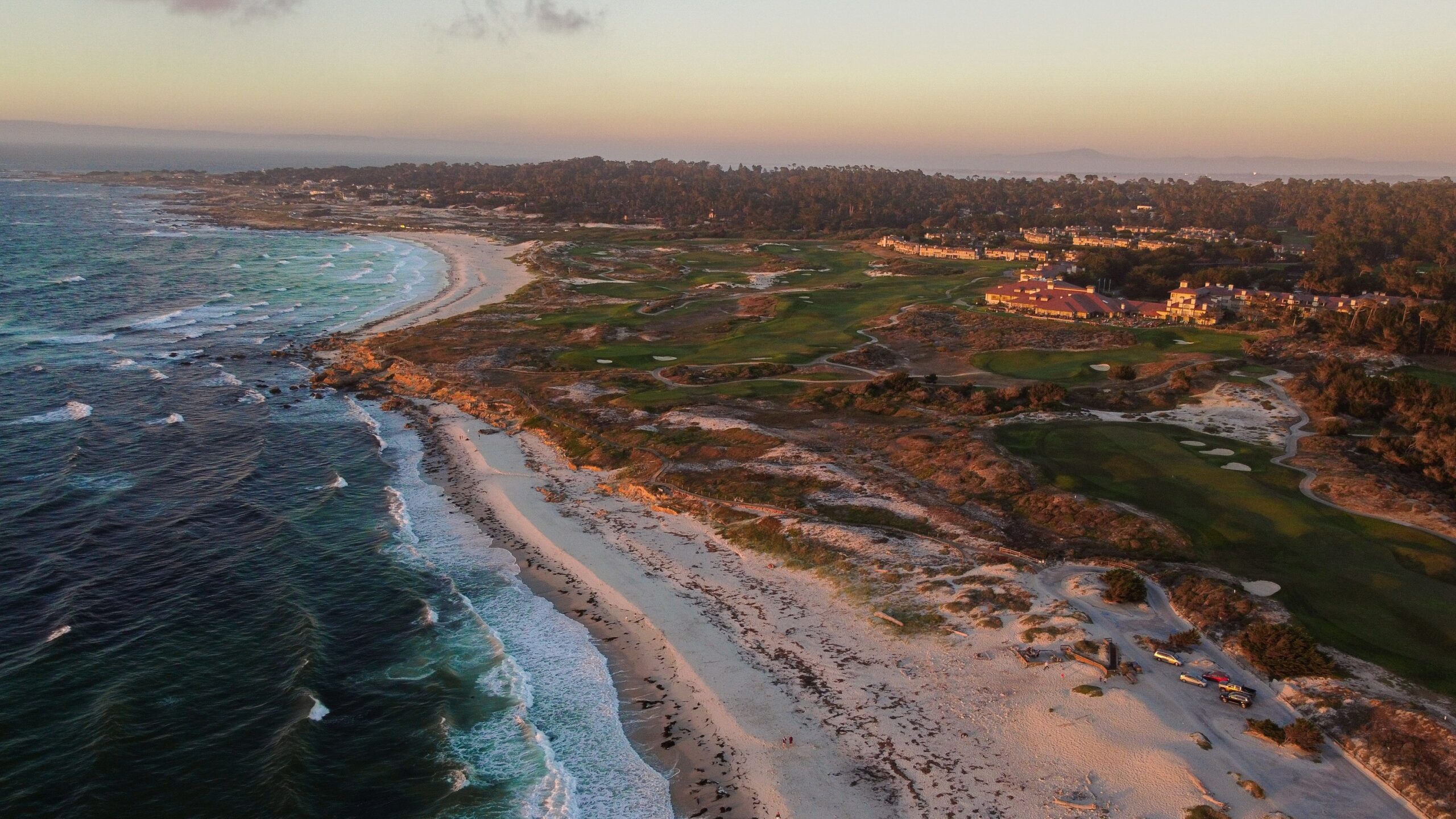 Plant These Wind-Resistant Trees in Your Monterey Garden for the Coastal Shelter You Crave