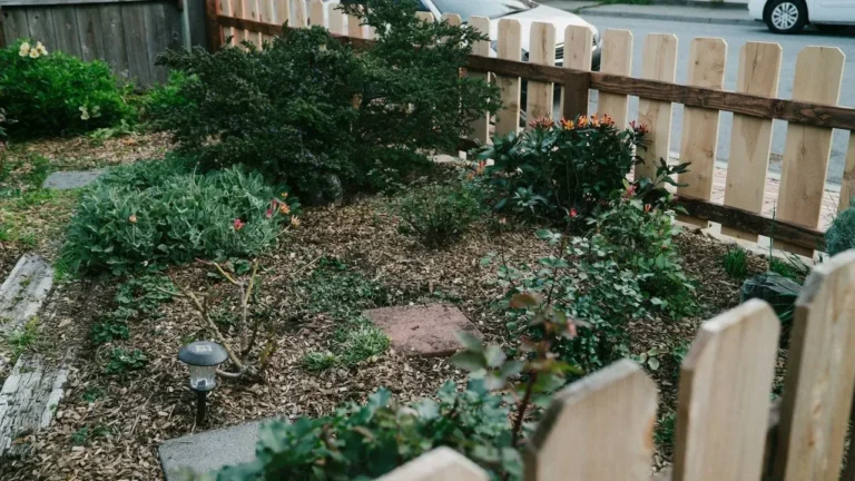 Living Mulch Provides a Sustainable Path to Easier Garden Maintenance - Featured image