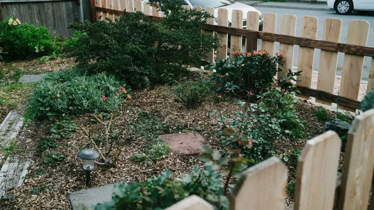 Living Mulch Provides a Sustainable Path to Easier Garden Maintenance
