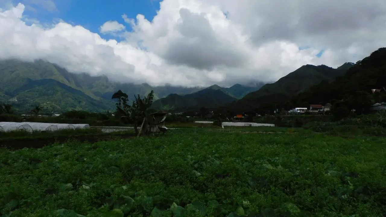 From Bare Ground to Blooming Retreat: Janice Builds Her Zone 7 Mountain Garden