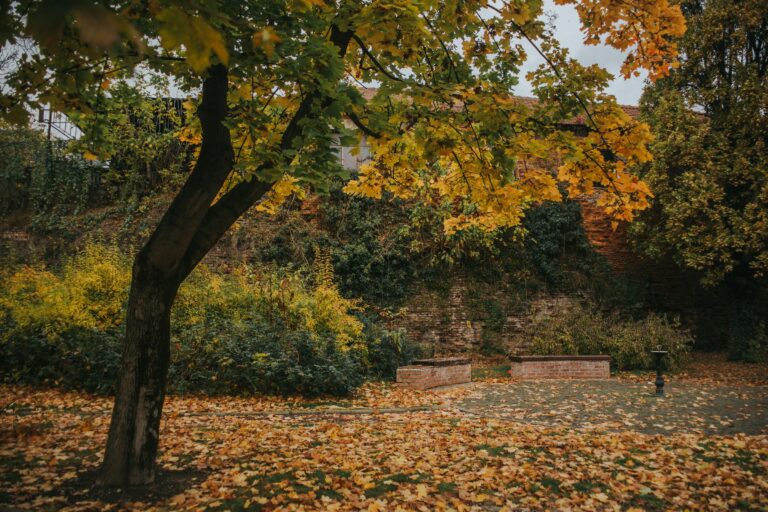 Why You Should Stop Cleaning Up Your Garden Beds in the Late Autumn - Featured image