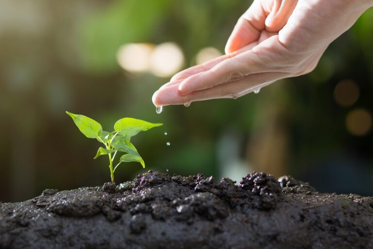 10 Old-School Garden Superstitions That Turned Out to Be Science - Featured image