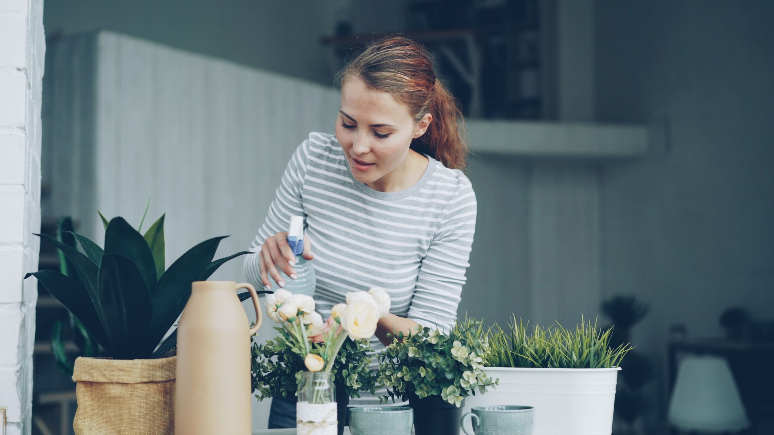 5 Houseplants That Thrive on Neglect and Die From Too Much Care
