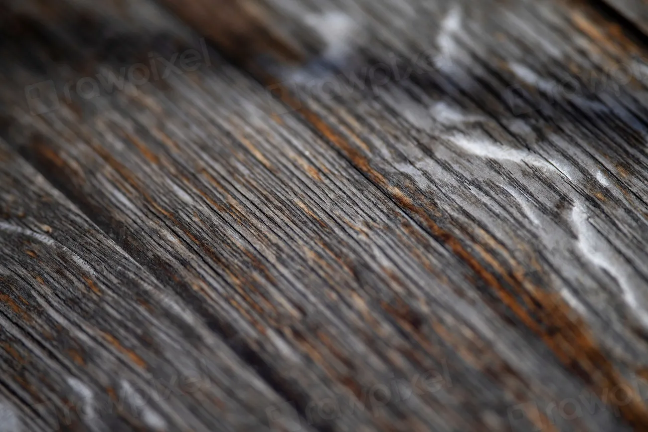 The Surprising DIY Fix For Squeaky Floors That Actually Works