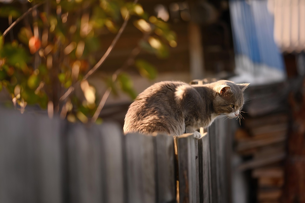 The Backyard Plant Most Pet Owners Don't Realize Is Dangerous