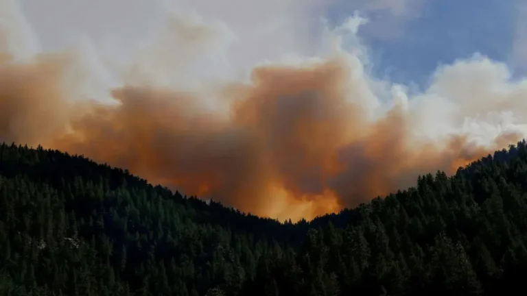 Wildfires Send Smoke Over Midwest and Northeast Gardens - Featured image