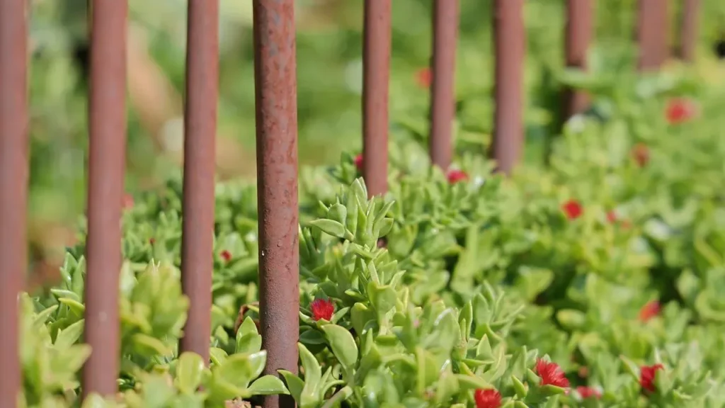 The Fence Built for Boulders and Slopes - Featured image