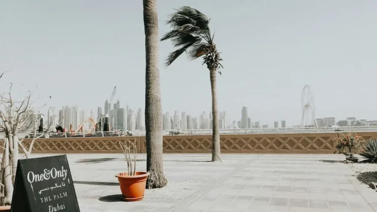 Cheesecake's Viral Moment After Dubai Chocolate - Featured image