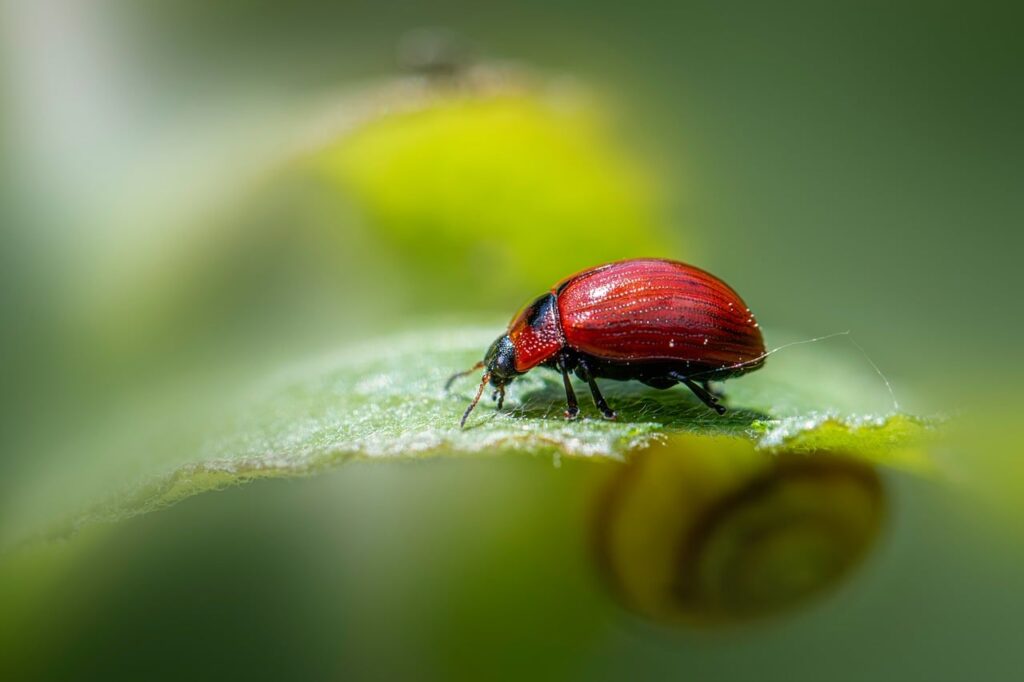 5 Garden "Pests" You Are Accidentally Killing That Actually Protect Your Plants - Featured image
