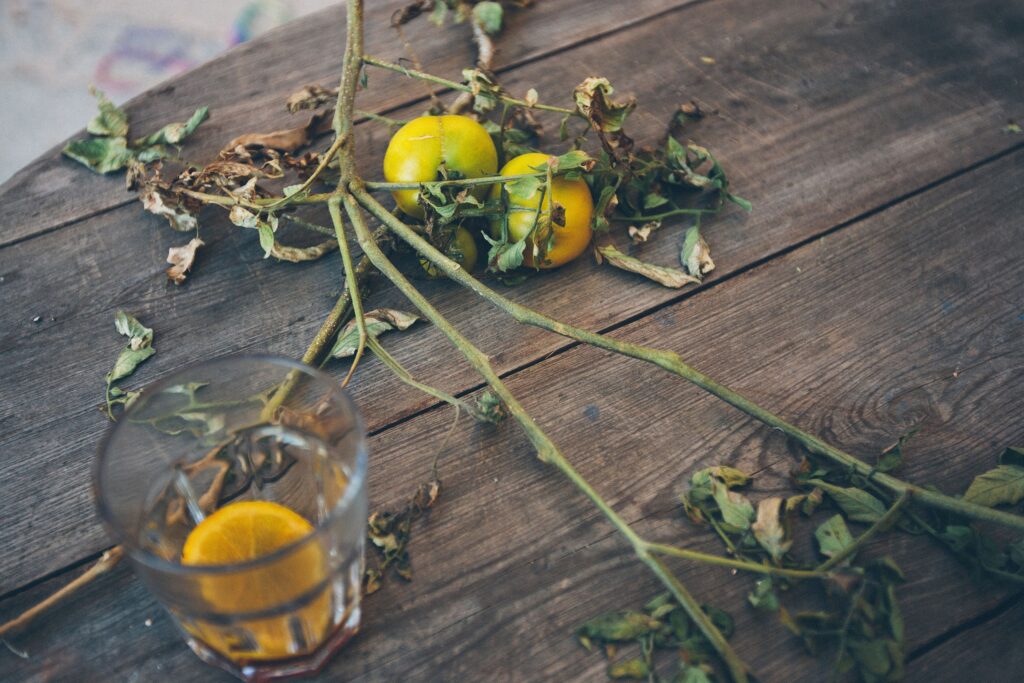 Do This Immediately If You See Yellowing Leaves On Your Tomato Plants - Featured image