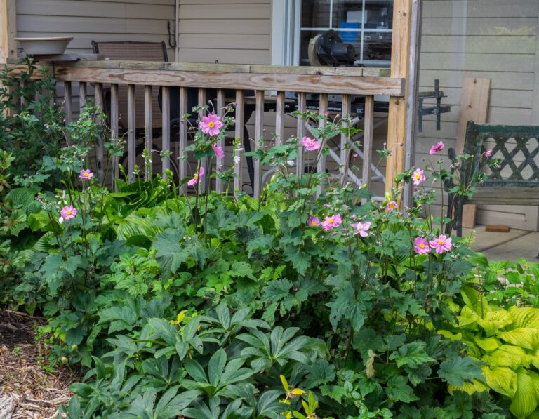The Common Mulching Mistake That's Suffocating Your Garden Beds - Featured image