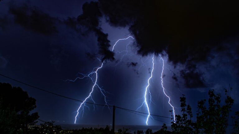 Lightning Strike Turns Backyard Garden Into Overnight Soil Miracle, Experts Say - Featured image