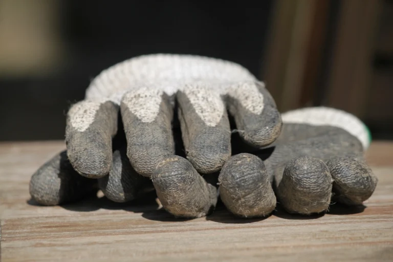 The Garden Glove Mistake That Exposes You to Hidden Bacteria - Featured image