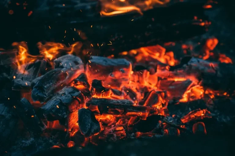Why Your Old Fireplace Charcoal Is the Secret Weapon for Perfect Garden Drainage - Featured image