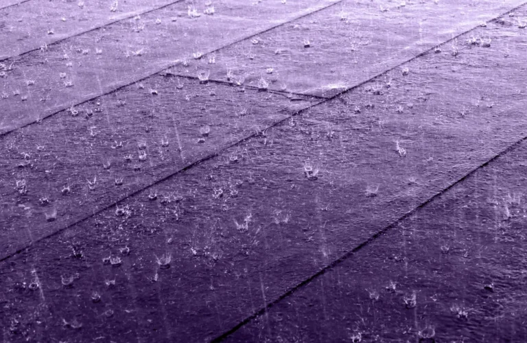The Reason Rain Smells Different Before, During, and After a Storm - Featured image