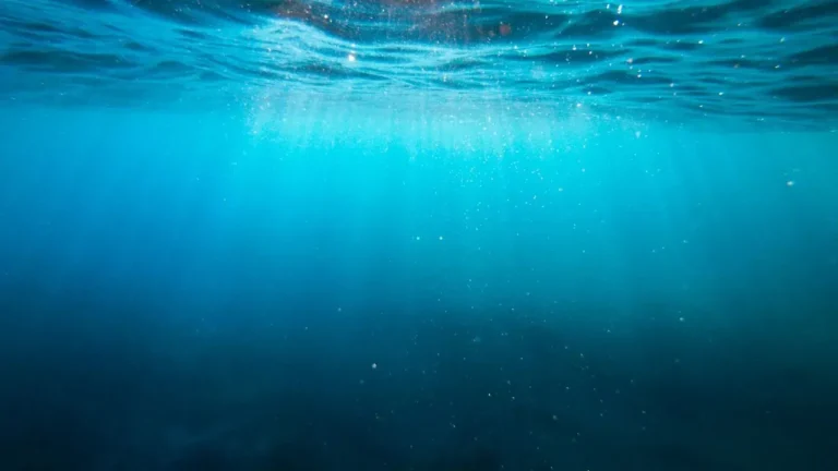 Deep-Sea Pressure Unlocks Hidden Nutrients for Microbes - Featured image