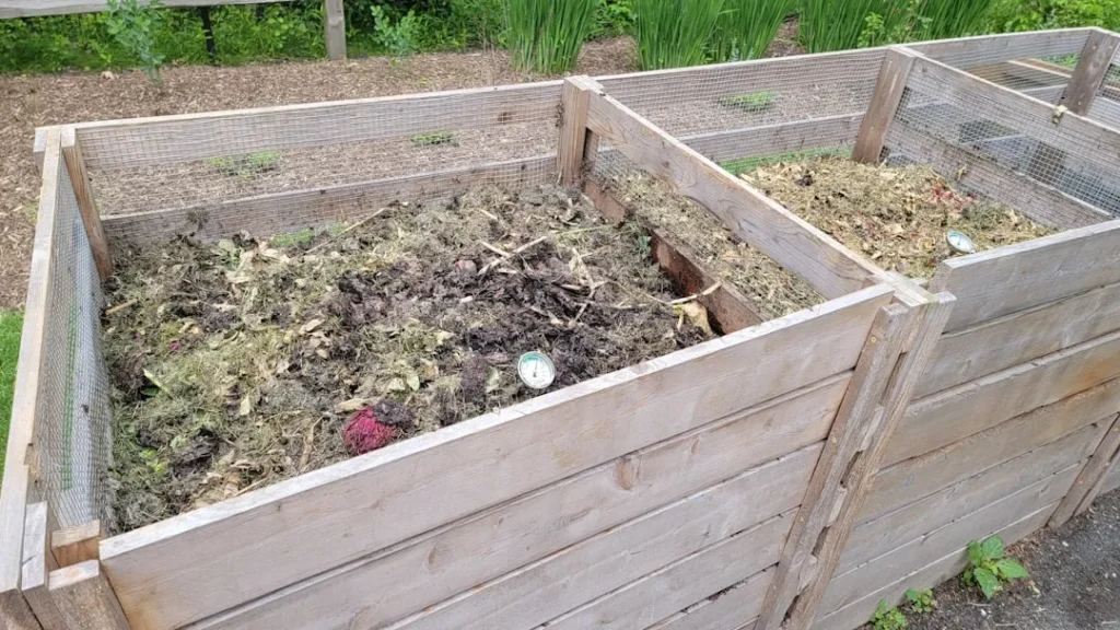 5 Items You Think Belong in Your Compost Pile That Actually Ruin It - Featured image