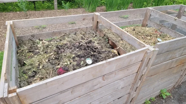 5 Items You Think Belong in Your Compost Pile That Actually Ruin It - Featured image