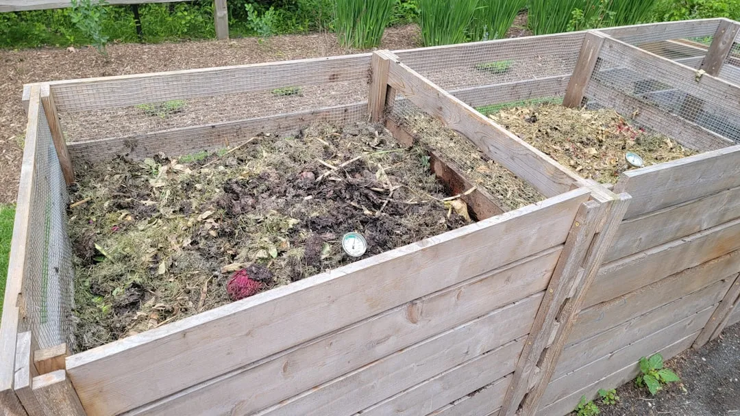 5 Items You Think Belong in Your Compost Pile That Actually Ruin It