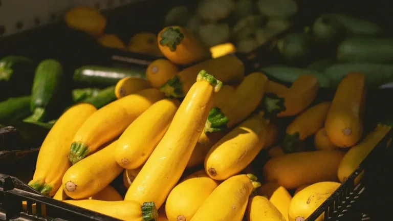 Zucchini Overload: How Seasoned Gardeners Manage the Summer Surplus - Featured image