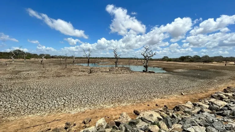 Records Review Fails to Solve Leander Lake Mystery - Featured image