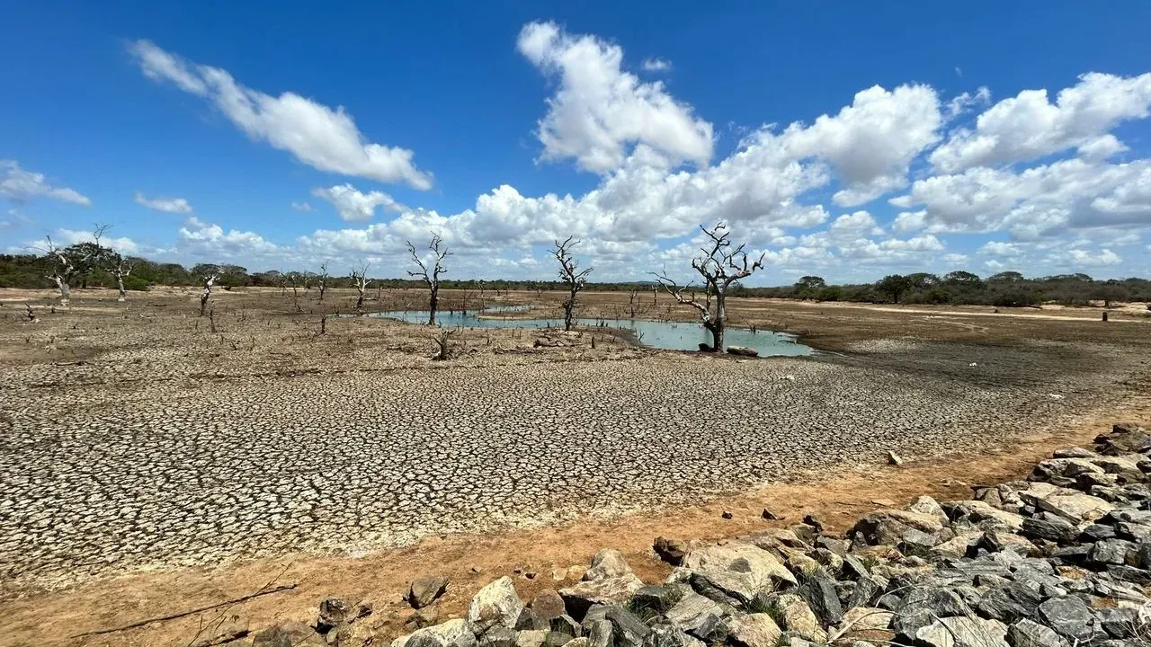 Records Review Fails to Solve Leander Lake Mystery
