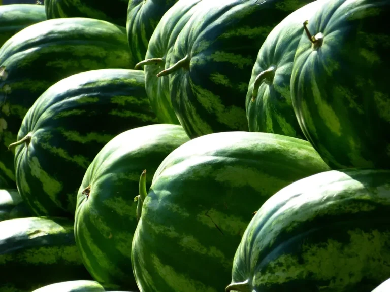 How to Tell Exactly When a Watermelon Is Ripe and Ready to Pick - Featured image