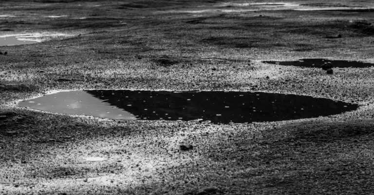 The Puddling Habit That Signals Your Soil Has Stopped Draining - Featured image