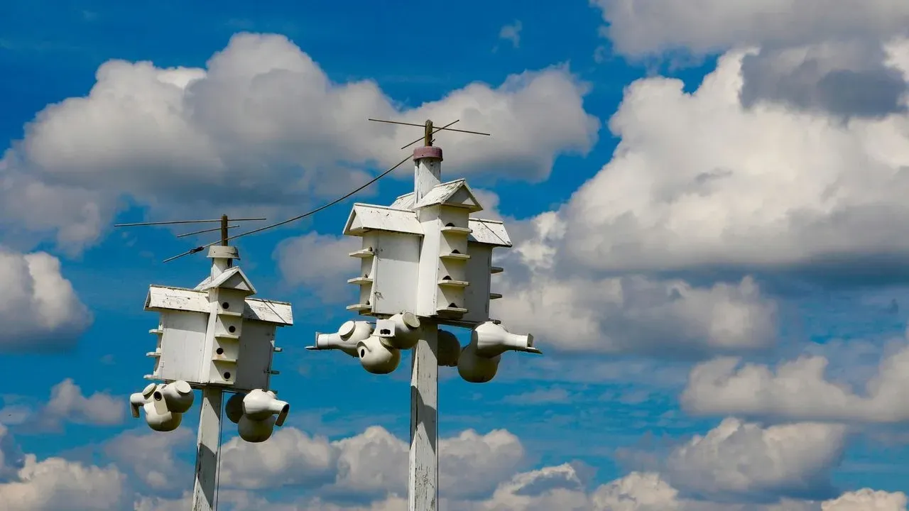 Purple Martin Parties Canceled Over Trespass Threat
