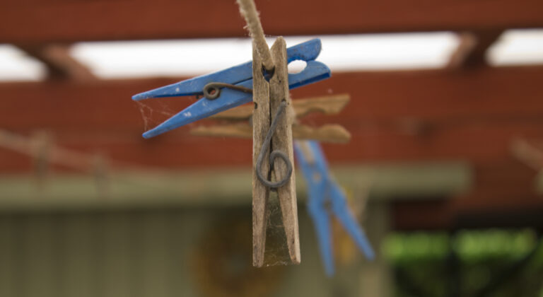 Bring Back the Clothesline: A Simple Swap for a Greener Yard - Featured image