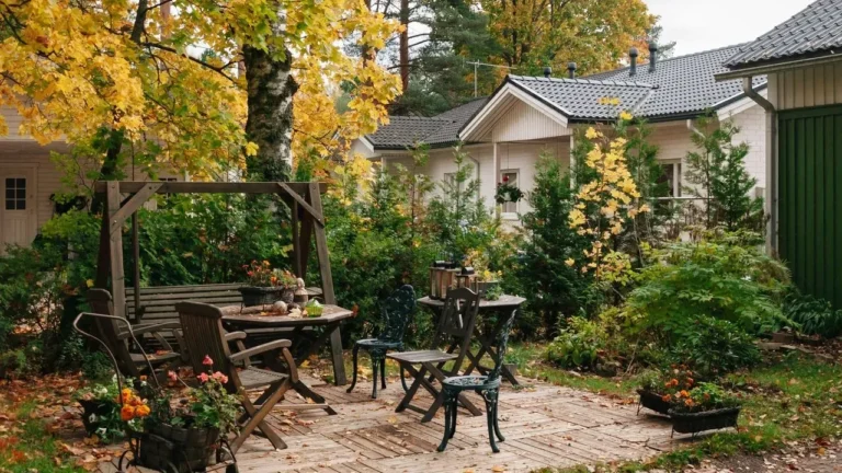 Milwaukee Gardener Turns Concrete Backyard Into Oasis - Featured image